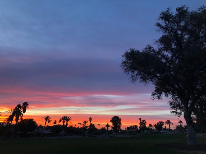 Palmdesertsunrise